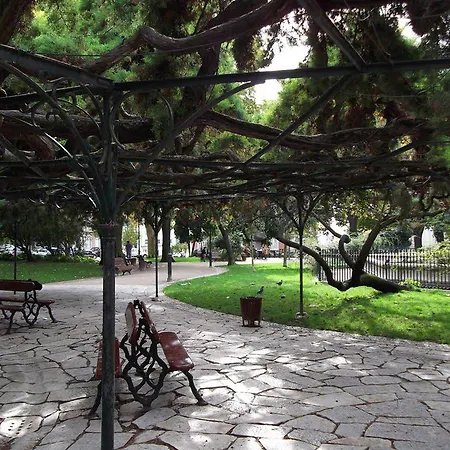 Downtown With Courtyard And Garden